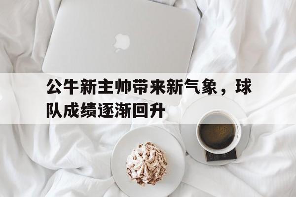 公牛新主帅带来新气象，球队成绩逐渐回升
